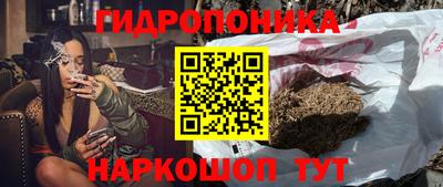jwh Новокубанск