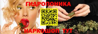 jwh Новокубанск