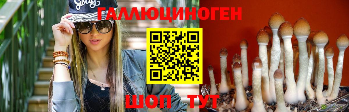 Курган  Галлюциногенные грибы Psilocybe  Вход с VPN  Галлюциногенные грибы прущие грибы 